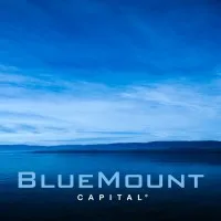 BlueMount Capital email format