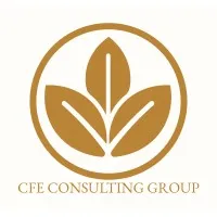 CFE Consulting Group