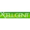 Xcelligent Xcelligent