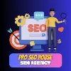 Pro Seo House Pro Seo House