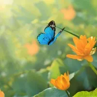 Harmony Community Healthcare Harmony Community Healthcare