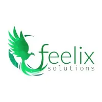 Feelix Solutions (pvt) Ltd