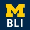 University of Michigan Barger Leadership Institute University of Michigan Barger Leadership Institute