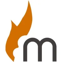 Mandasa Technologies | Shopify Plus Partner Agency