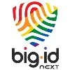 BigID BigID