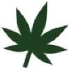 WEED.com WEED.com