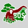 Borneo Orangutan Survival (BOS) Foundation Borneo Orangutan Survival (BOS) Foundation