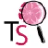 Testing Software Testing Software