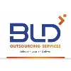 BLD OUTSOURCING SERVICES BLD OUTSOURCING SERVICES