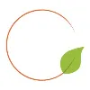 Creative Orange - Brand Strategy & Digital Agency Creative Orange - Brand Strategy & Digital Agency