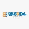 BlueGital LLP BlueGital LLP