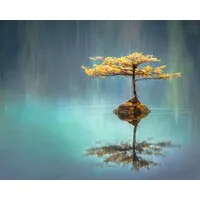 Peaceful Practices Counseling