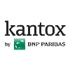 Kantox Kantox