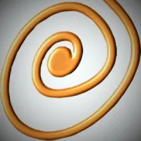 Pan Hospitality (PTY) LTD Pan Hospitality (PTY) LTD