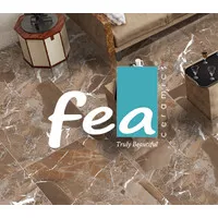FEA CERAMICS 