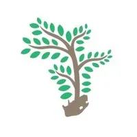 Grounded Property Professionals