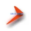 Kris Aero Services Pvt Ltd Kris Aero Services Pvt Ltd