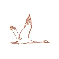 Swan Valley Medical, Incorporated