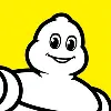 MICHELIN Aircraft Tyre MICHELIN Aircraft Tyre
