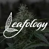 Leafology Leafology