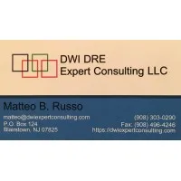 DWI DRE Expert Consulting LLC