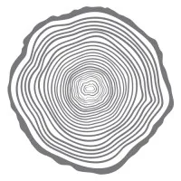 The Treehouse School of Charlestown