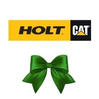 HOLT CAT