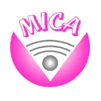 International Research Institute MICA