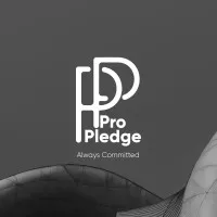 Pro Pledge LLC Pro Pledge LLC