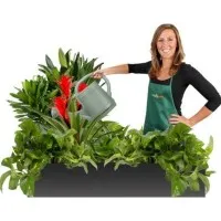 Office Plants by Everything Grows