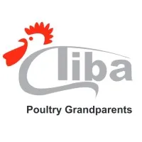 Tiba Poultry Grandparents