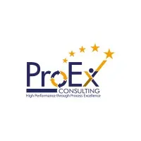ProEx Consulting LLC