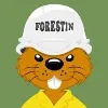 Incendios Forestales/CONAF
