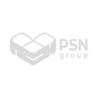 PSN Group