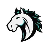 Team Arion