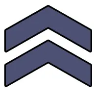 LevUp Digital Solutions
