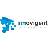 Innovigent Consulting Services