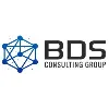 BDS Consulting, LLC BDS Consulting, LLC