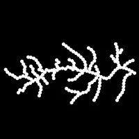 Babyn Yar Holocaust Memorial Center (BYHMC)