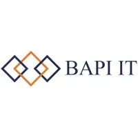 BAPI IT Solutions BAPI IT Solutions