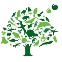 Forest & Bird Forest & Bird