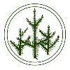 Hermes Landscaping Hermes Landscaping