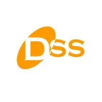 DS Systems LLC