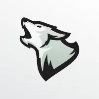 Liga de Mercado Financeiro FGV Rio Liga de Mercado Financeiro FGV Rio