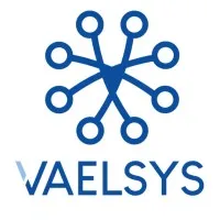 VAELSYS