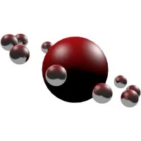 B2 Network B2 Network