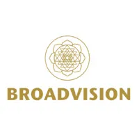 Broadvision Perspectives