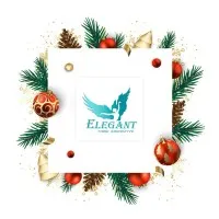 Elegant Digital Solutions (Pvt) Ltd