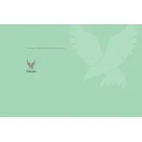 Falcon Management LLC