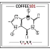 Coffee101 Coffee101
